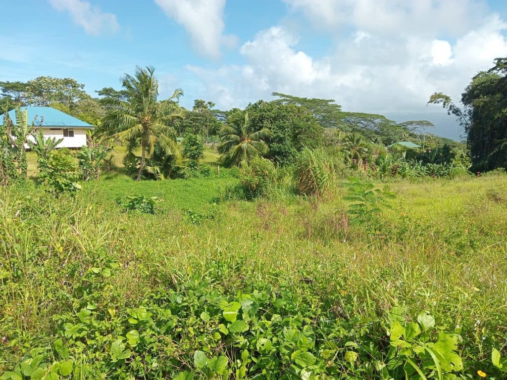 Terrain à vendre Taiarapu-Est – photo 3