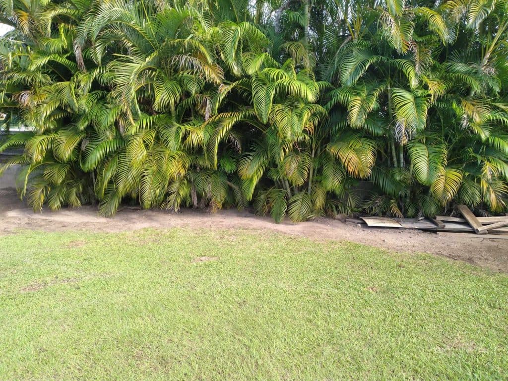 EXCLUSIVITE ! A MOOREA : Splendide terrain plat et clôt, 1350 m2 , "les pieds dans l’eau"…