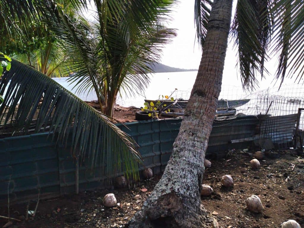 EXCLUSIVITE ! A MOOREA : Splendide terrain plat et clôt, 1350 m2 , "les pieds dans l’eau"… – photo 4