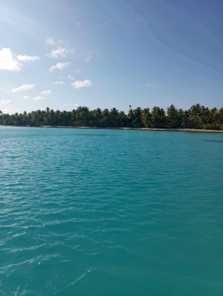 RANGIROA : Terrain plat bord de lagune ( côté récif) de 4000 m2, accés par le lagon exclusivement, 5.6M – photo 2