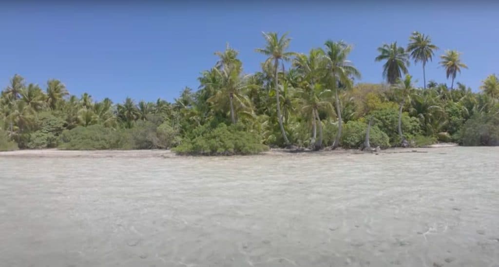 RANGIROA : Terrain plat bord de lagune ( côté récif) de 4000 m2, accés par le lagon exclusivement, 5.6M – photo 3