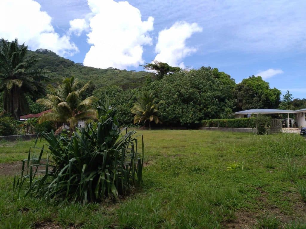 MOOREA-HAAPITI: Terrain viabilisé de 1560 m2 , plat , clôt et viabilisé , 44.8 M XPF. – photo 3