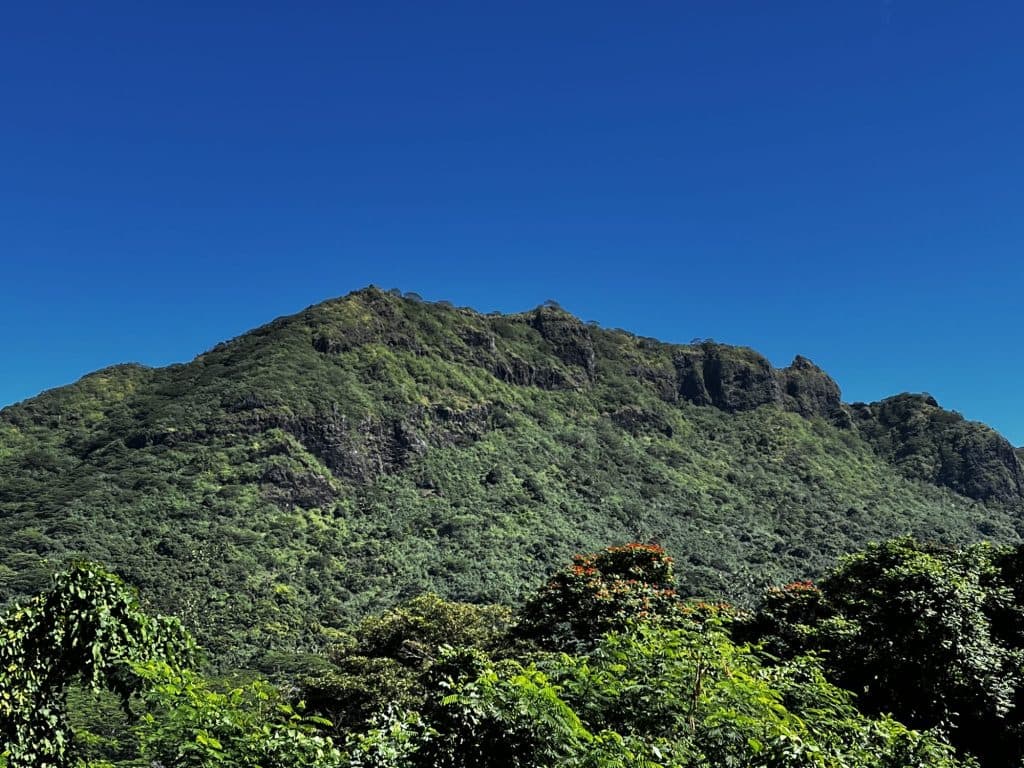 MOOREA :Terrain plat de 1260 m2 , 21.760 M – photo 2