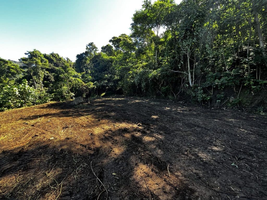 MOOREA :Terrain plat de 1260 m2 , 21.760 M – photo 3