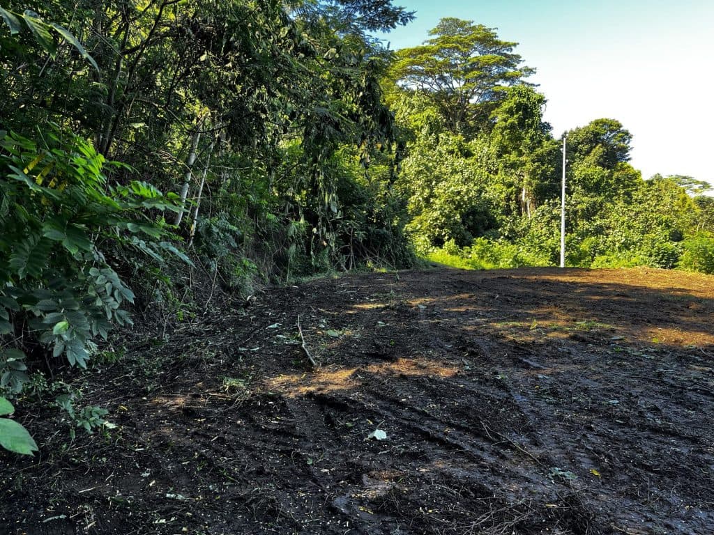 MOOREA :Terrain plat de 1260 m2 , 21.760 M – photo 4