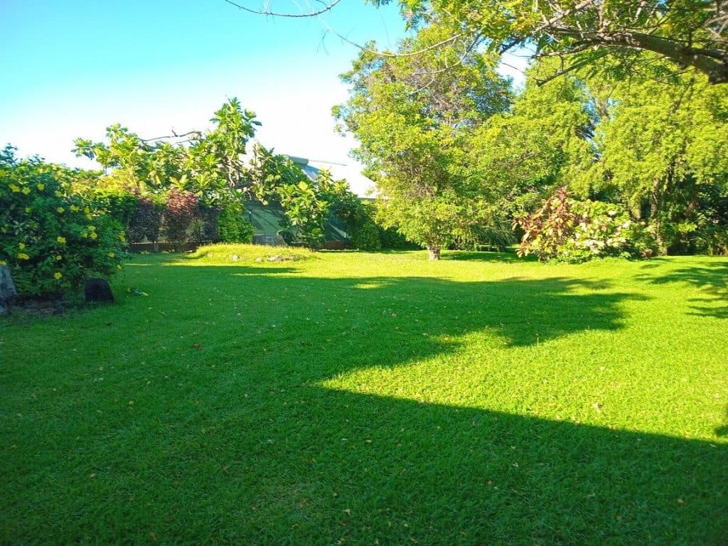 Punaauia – Bord de mer – 2000m² – photo 3