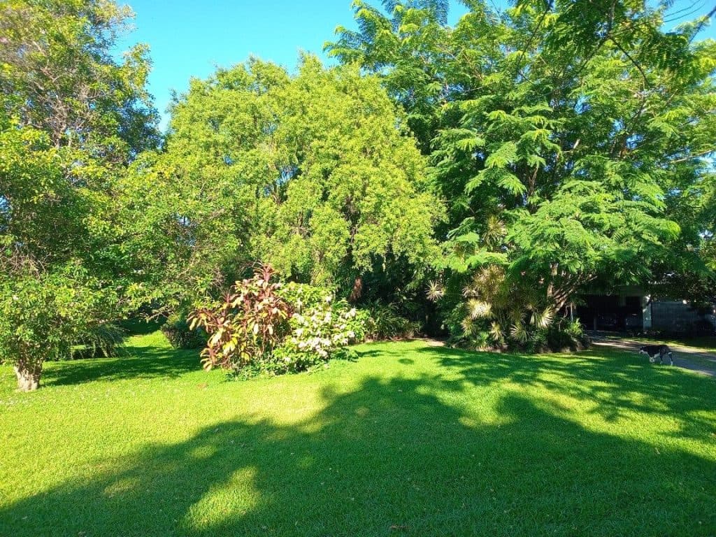 Punaauia – Bord de mer – 2000m² – photo 4