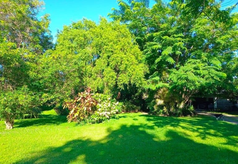ILES AUSTRALES – TUBUAI : Superbe terrain constructible – 21.350 M – photo 2