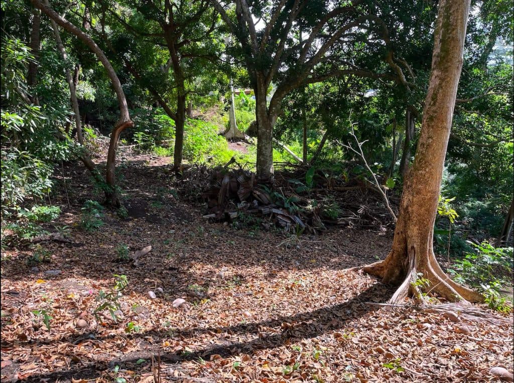 ARUE – OPPORTUNITE ! : Sur les hauteurs beau terrain arboré de 2650 m2 , 57.6 M – photo 2