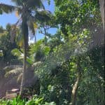 ARUE – OPPORTUNITE ! : Sur les hauteurs beau terrain arboré de 2650 m2 , 57.6 M – photo 3