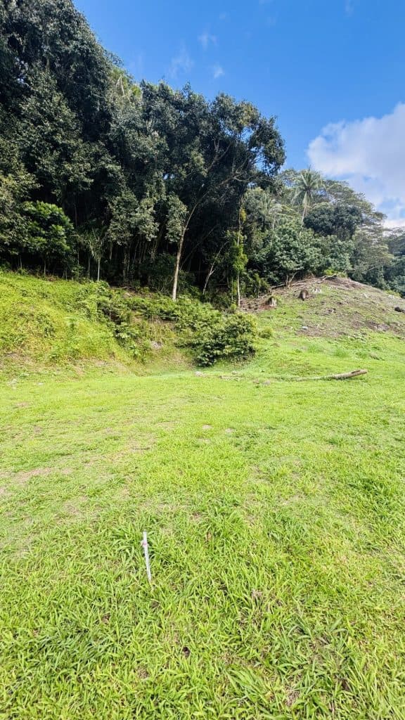 MOOREA VAIANAE – Terrain de 1180M2 – photo 2