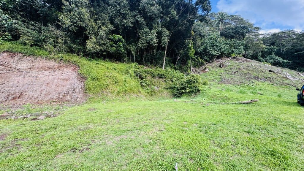 MOOREA VAIANAE – Terrain de 1180M2 – photo 3