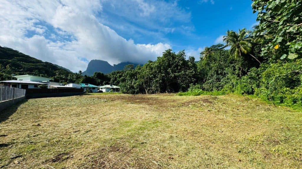 Moorea – Atiha – Terrain de 1394² non viabilisé – photo 2