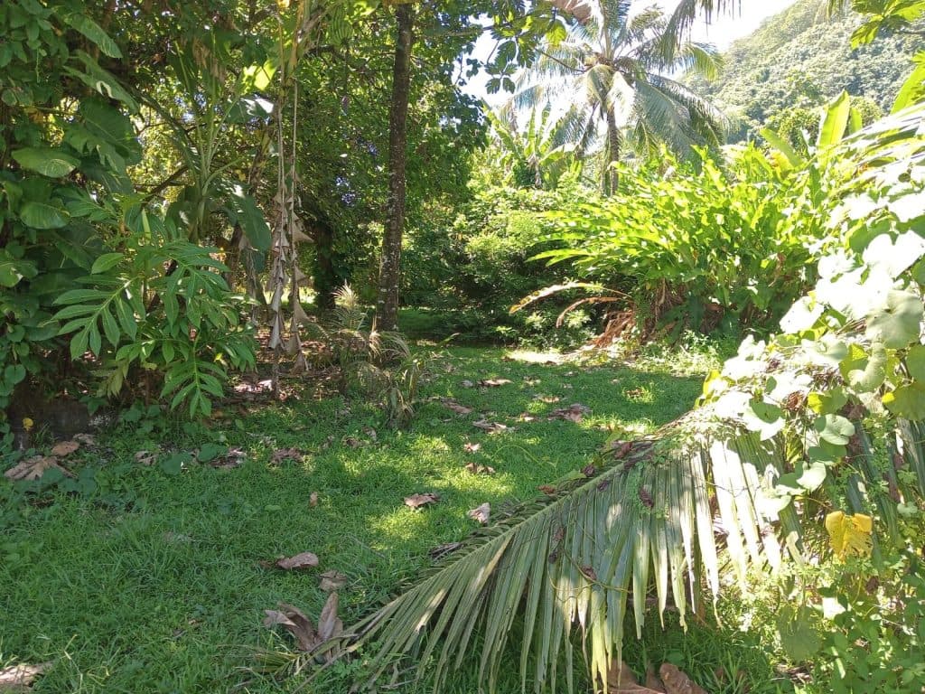 Taiarau Est – Afaahiti – Terrain constructible de 4033 ² Bord de Mer – photo 3