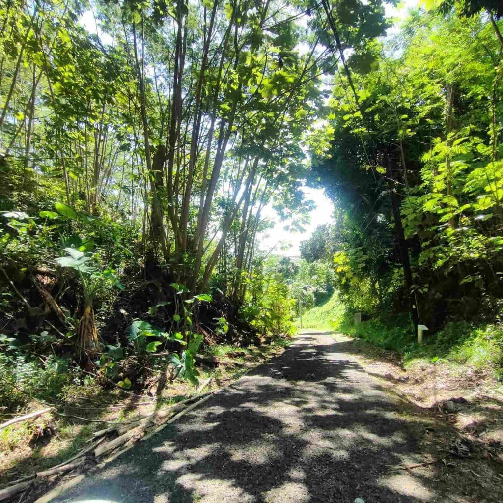 Papenoo – Terrain constructible 1000m² PK15