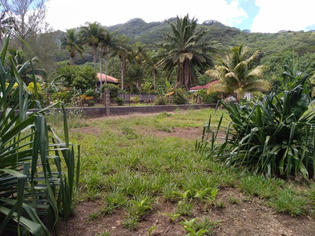 MOOREA-HAAPITI: Terrain viabilisé de 1560 m2 , plat , clôt et viabilisé , 44.8 M XPF.