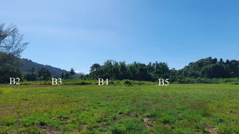Terrain viabilisé à Papara