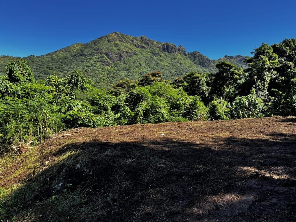 MOOREA :Terrain plat de 1260 m2 , 21.760 M