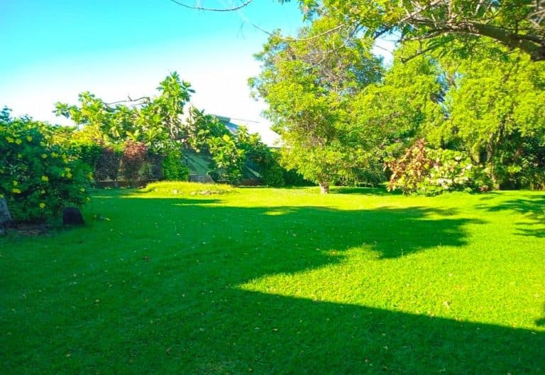 ILES AUSTRALES – TUBUAI : Superbe terrain constructible – 21.350 M
