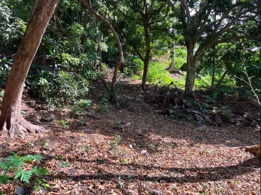 ARUE – OPPORTUNITE ! : Sur les hauteurs beau terrain arboré de 2650 m2 , 57.6 M
