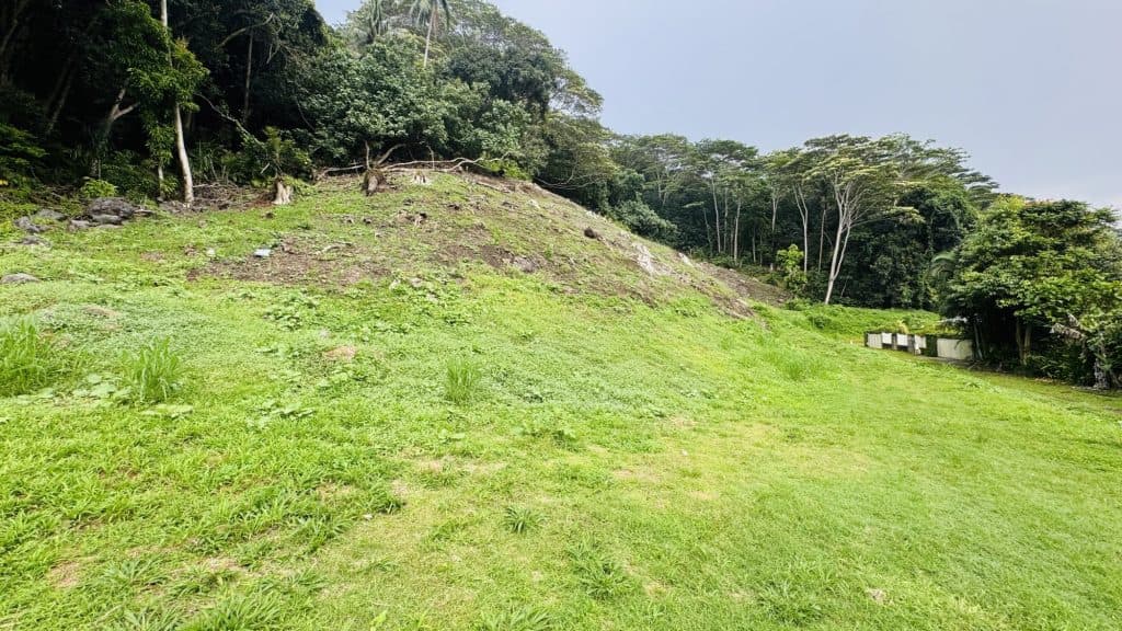 MOOREA VAIANAE – Terrain de 1.390 m2