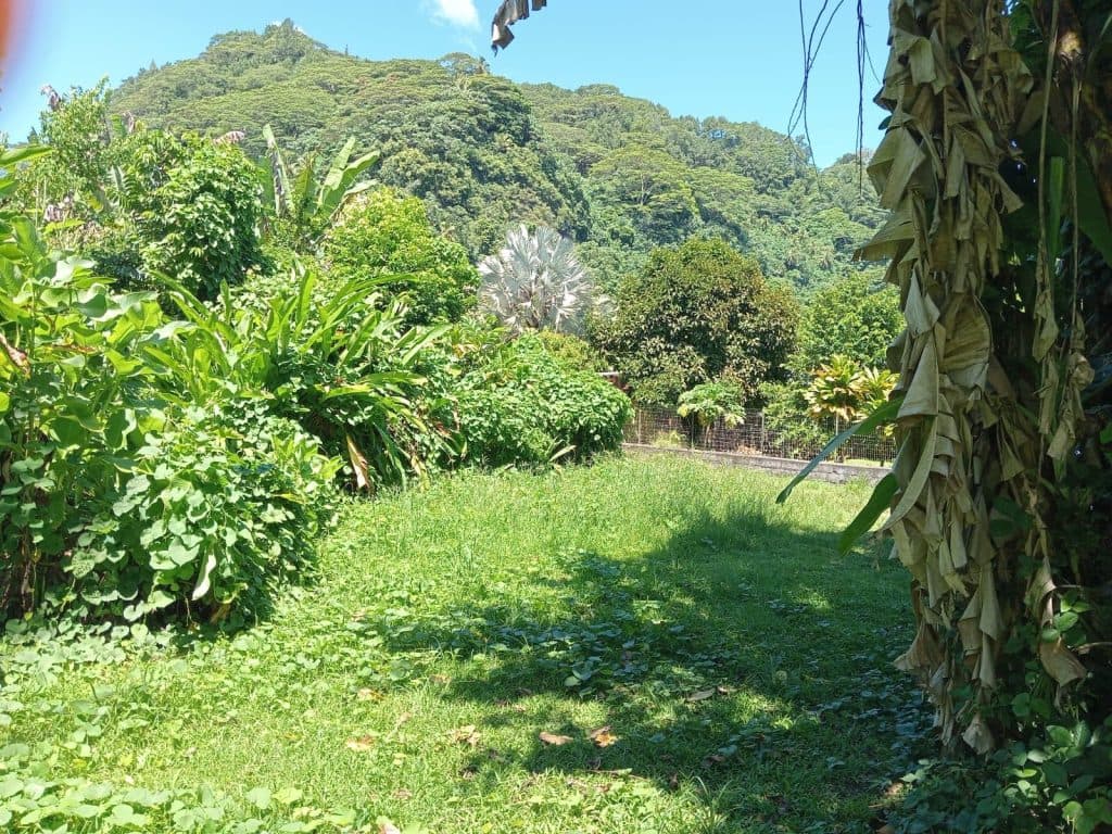 Taiarau Est – Afaahiti – Terrain constructible de 4033 ² Bord de Mer